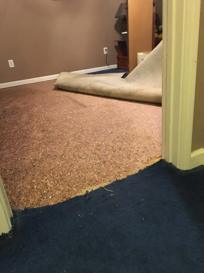 Carpet pad removal revealing water damage during Water Mitigation Services in Schuylkill Haven
