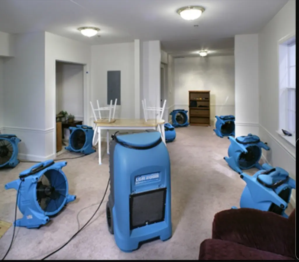 Air movers and dehumidifier setup for Water Extraction & Removal in Schuylkill Haven